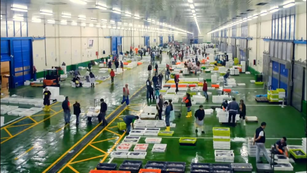 instalaciones Lonja de Vigo