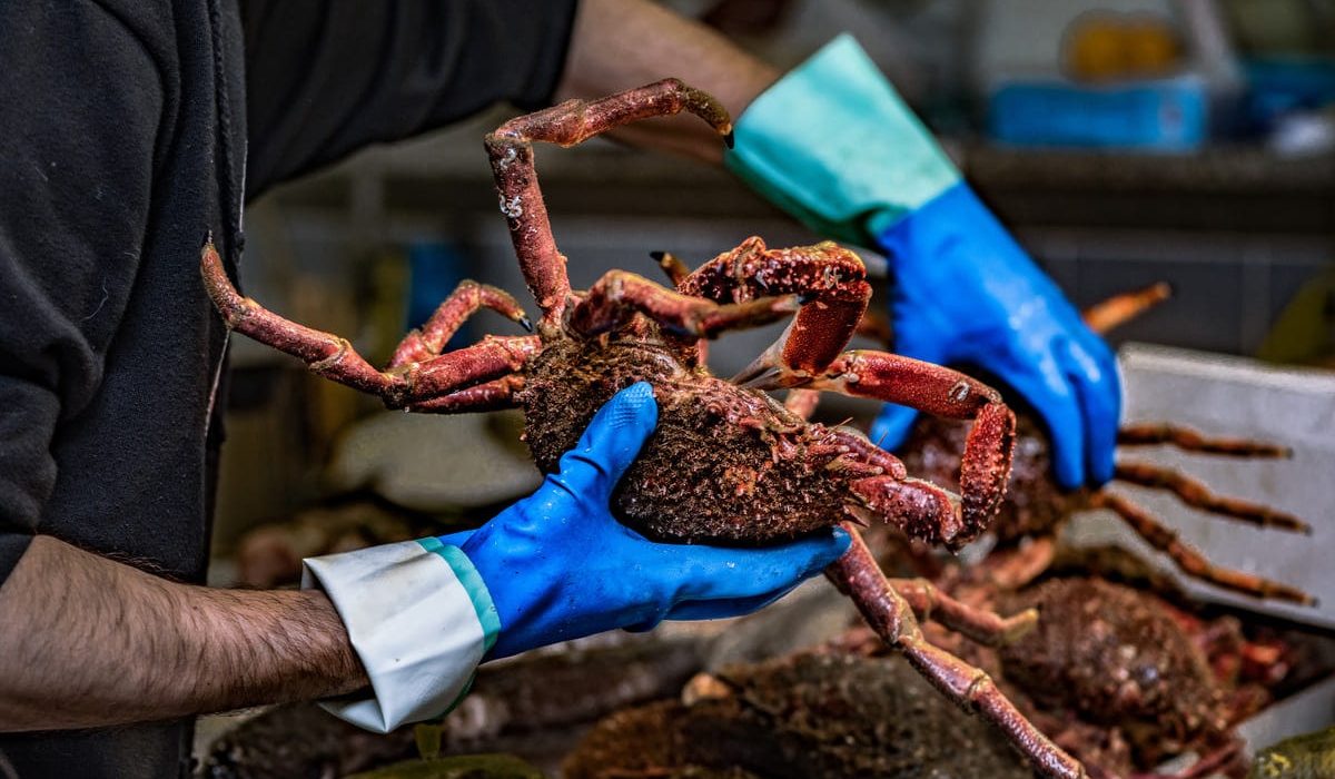 lonjas más importantes de España