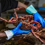 lonjas más importantes de España