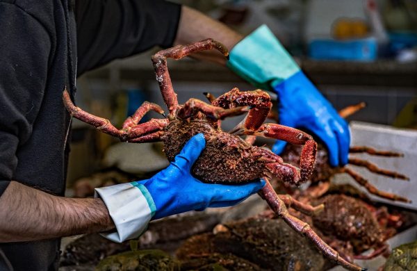 lonjas más importantes de España