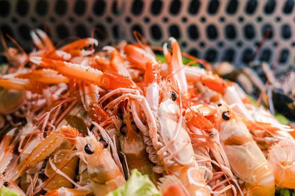 restaurante de marisco Virgen del Mar