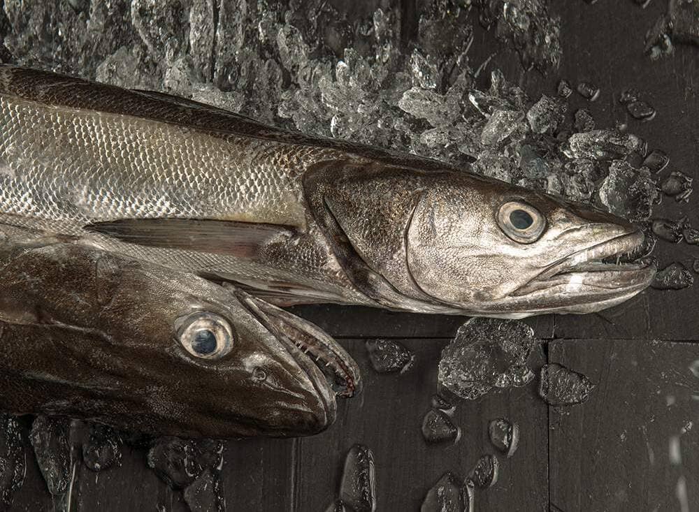 Merluza de pincho