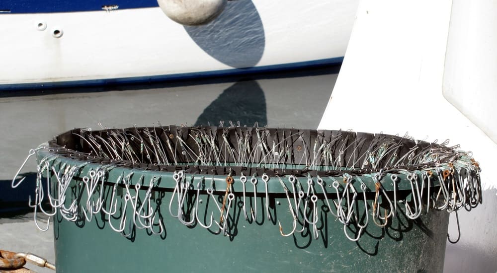 pesca de merluza de palangre