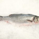 cuál es el pescado blanco