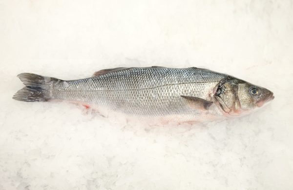 cuál es el pescado blanco