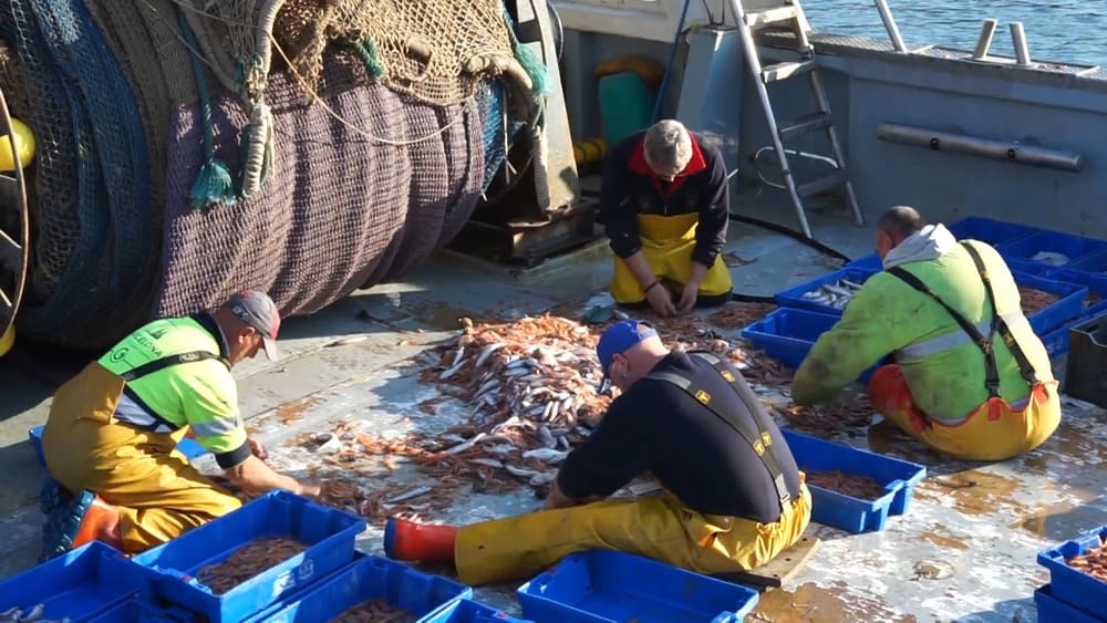 pescadores de Barcelona