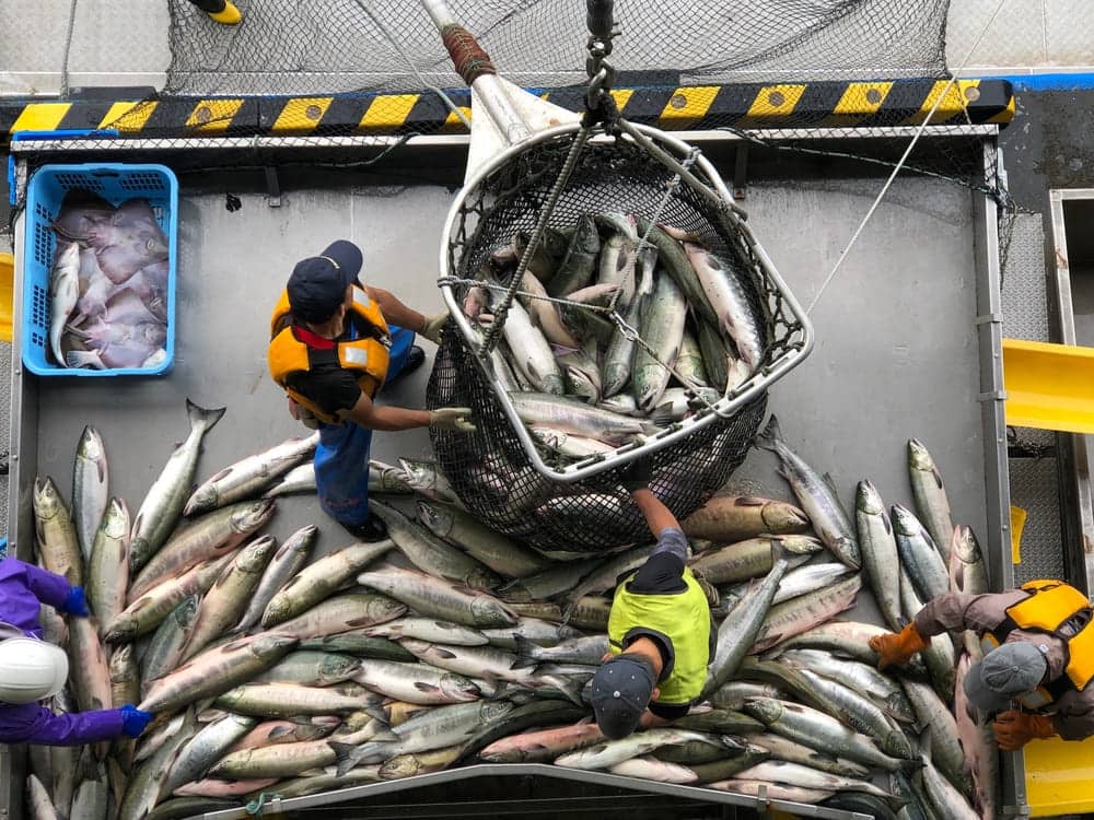 tipo de pesca comercial