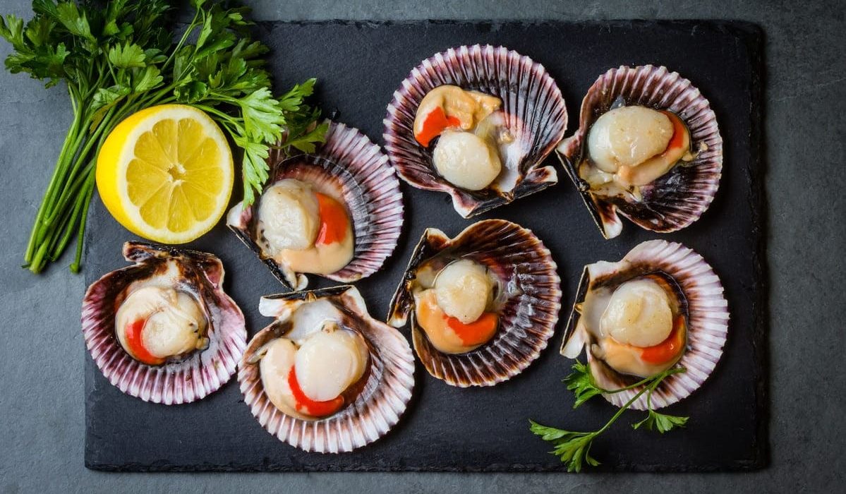 zamburiñas y volandeiras