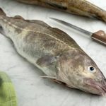 bacalao pescado blanco
