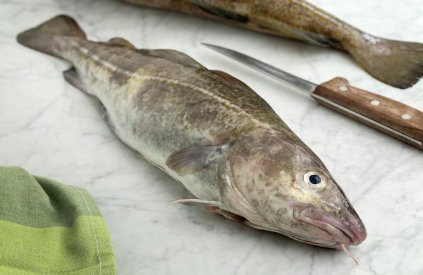 bacalao pescado blanco