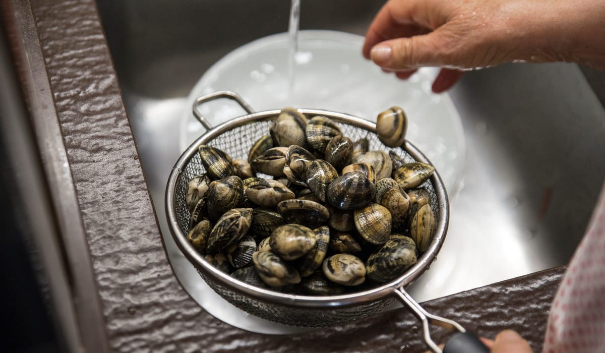 cómo limpiar almejas