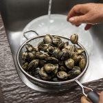 cómo limpiar almejas