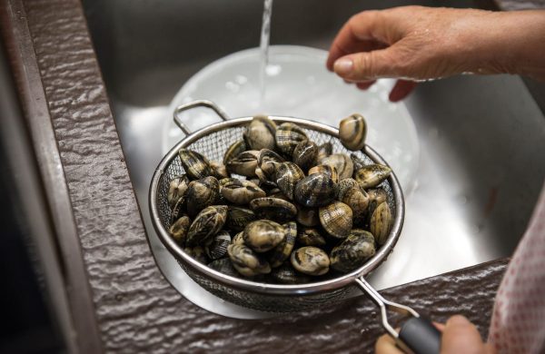 cómo limpiar almejas