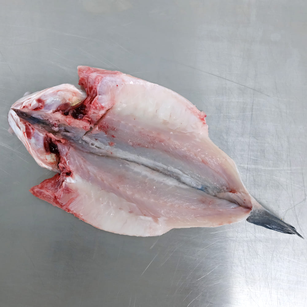 lubina corte en libro