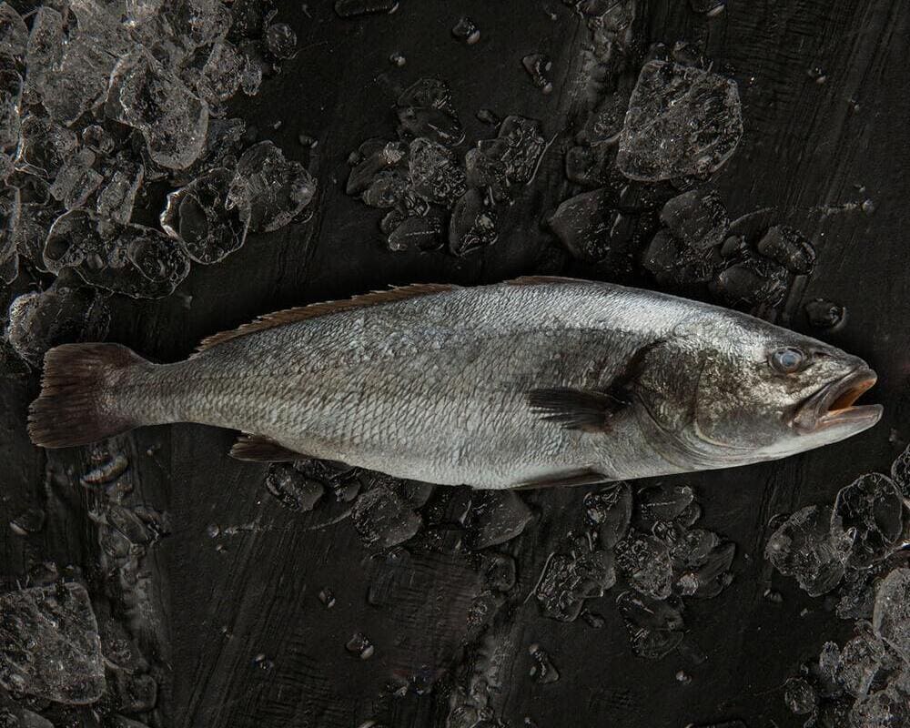 pescado parecido a la lubina