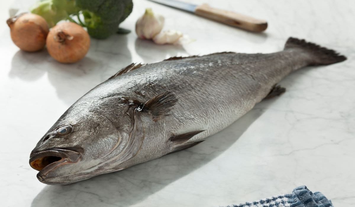 pescados parecidos corvina