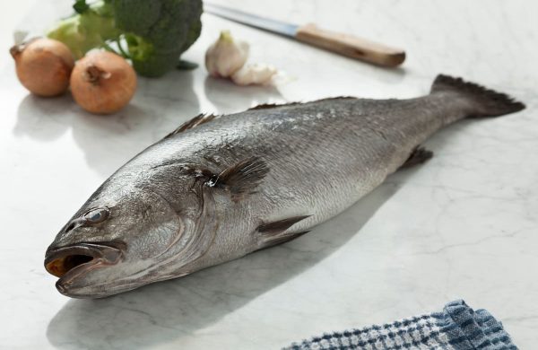 pescados parecidos corvina