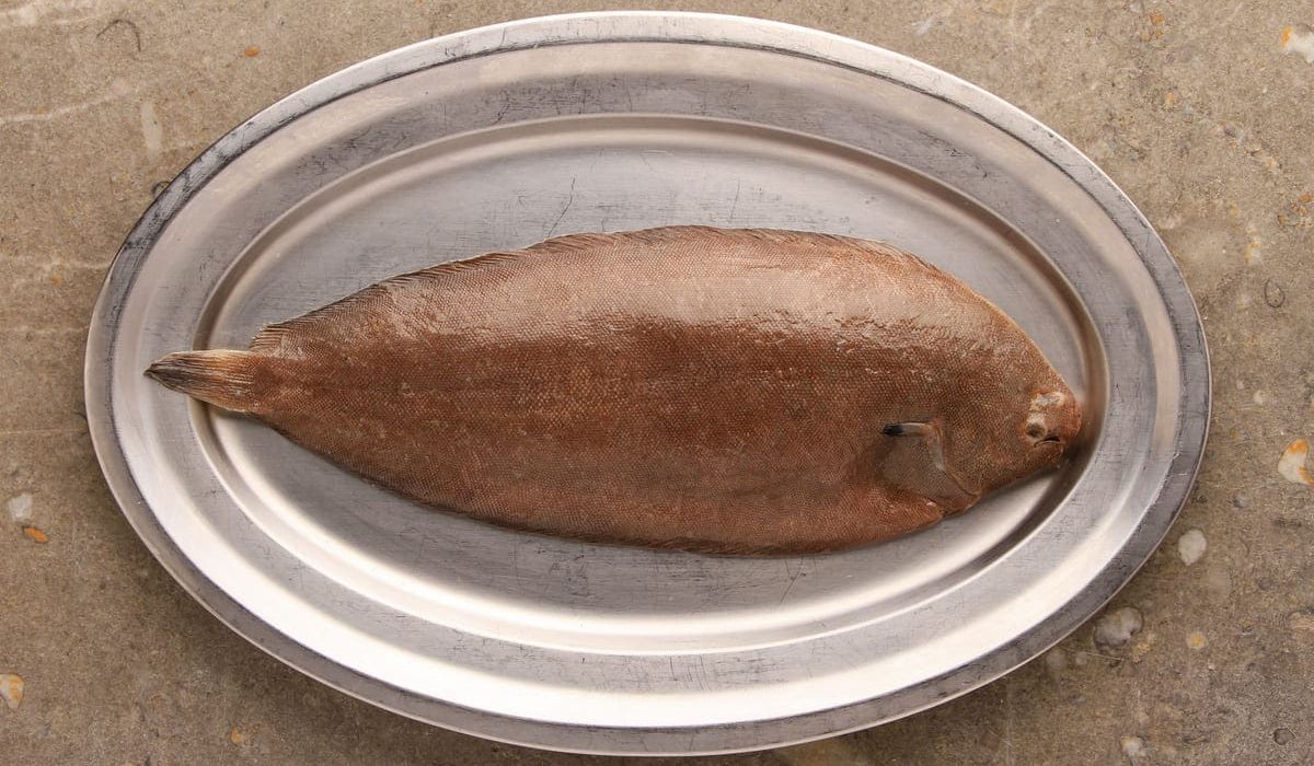 pescados parecidos lenguado