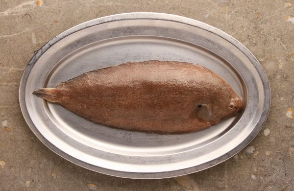 pescados parecidos lenguado