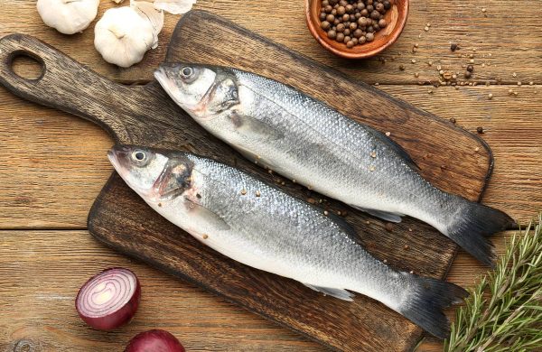 pescados parecidos a la lubina