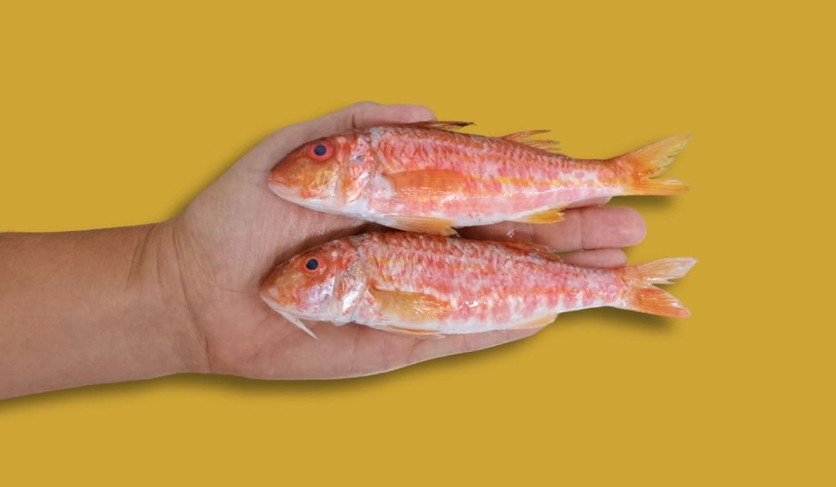 peso pescado y marisco