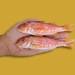 peso pescado y marisco