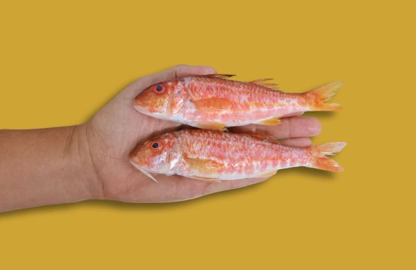 peso pescado y marisco