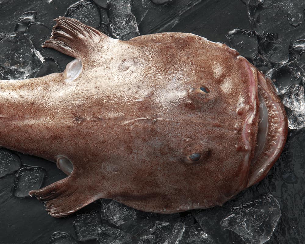 pescado pixín o rape