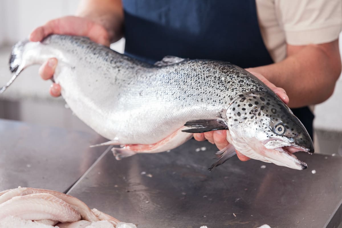 salmón es pescado azul