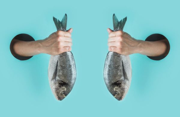 qué significa soñar pescado