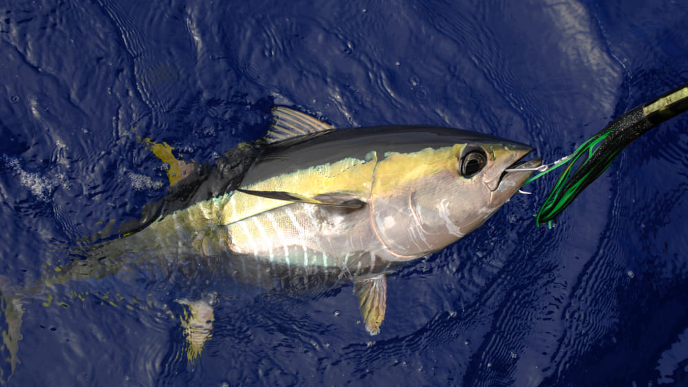 túnido más rápido