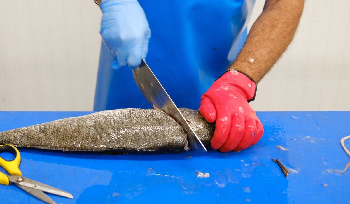 cómo limpiar pescado fácilmente