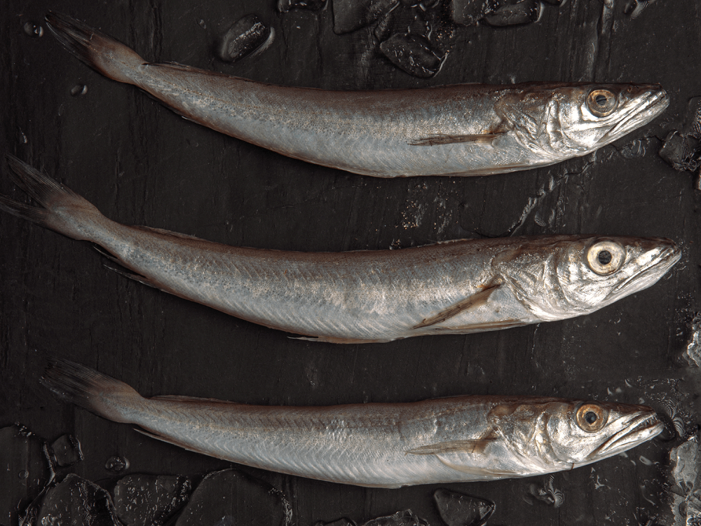 pescado como la merluza