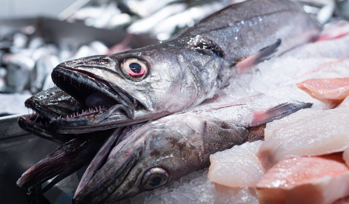 pescados parecidos merluza