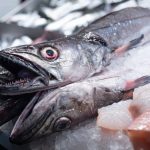 pescados parecidos merluza