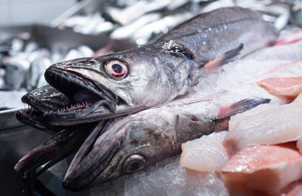 pescados parecidos merluza