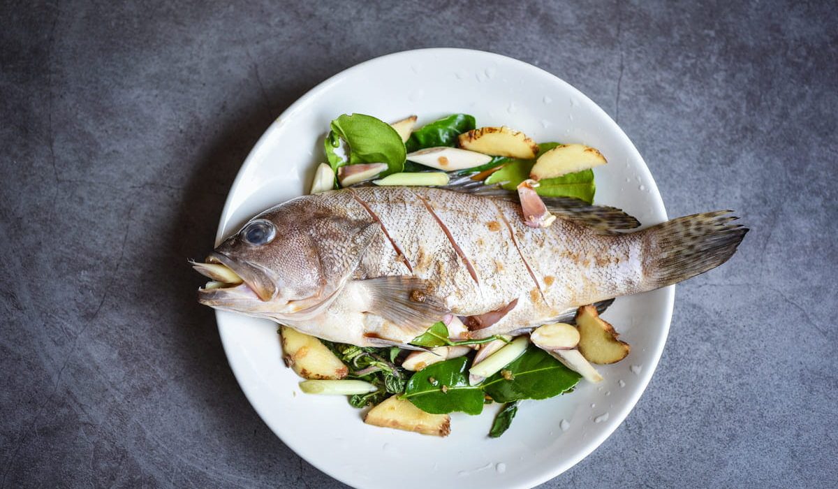 pescados parecidos al mero