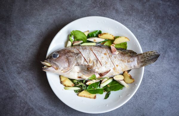 pescados parecidos al mero