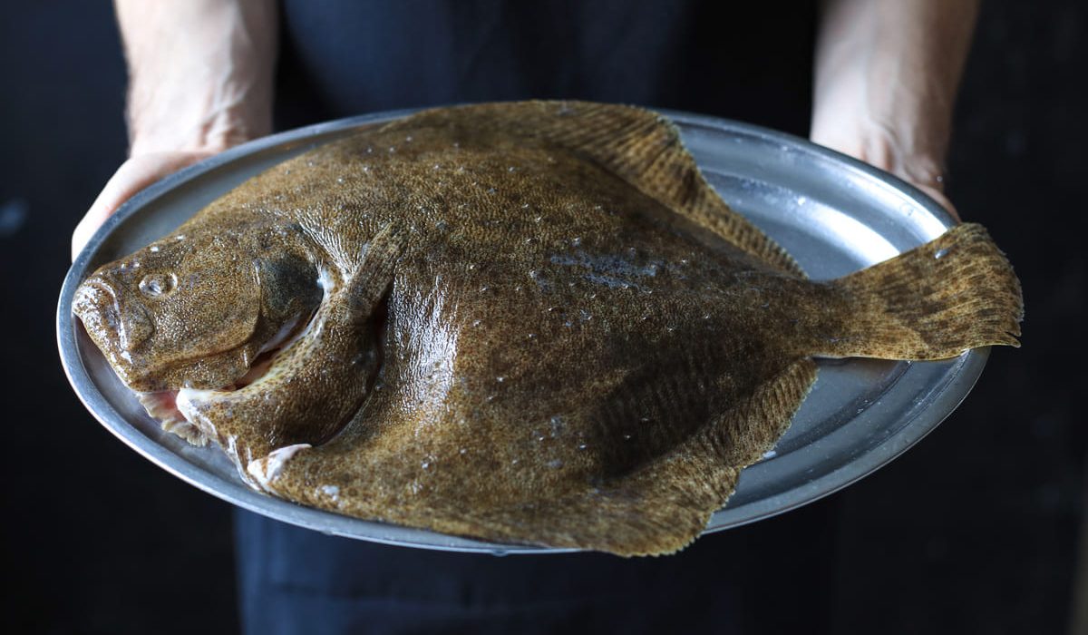 pescados parecidos rodaballo