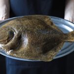 pescados parecidos rodaballo