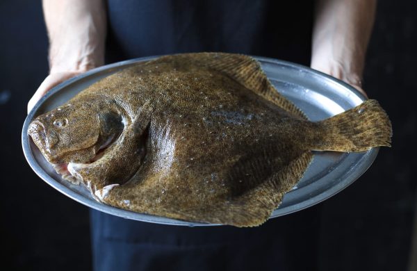 pescados parecidos rodaballo