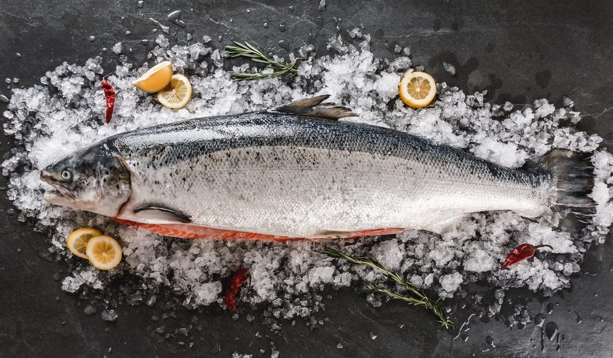 pescados parecidos salmón