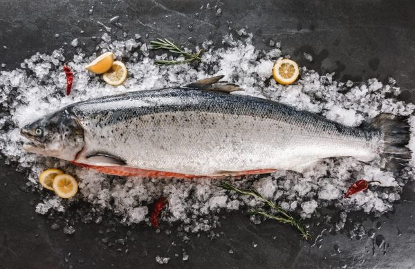 pescados parecidos salmón