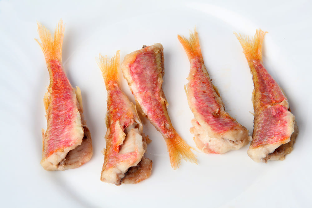 salmonete pescado semigraso
