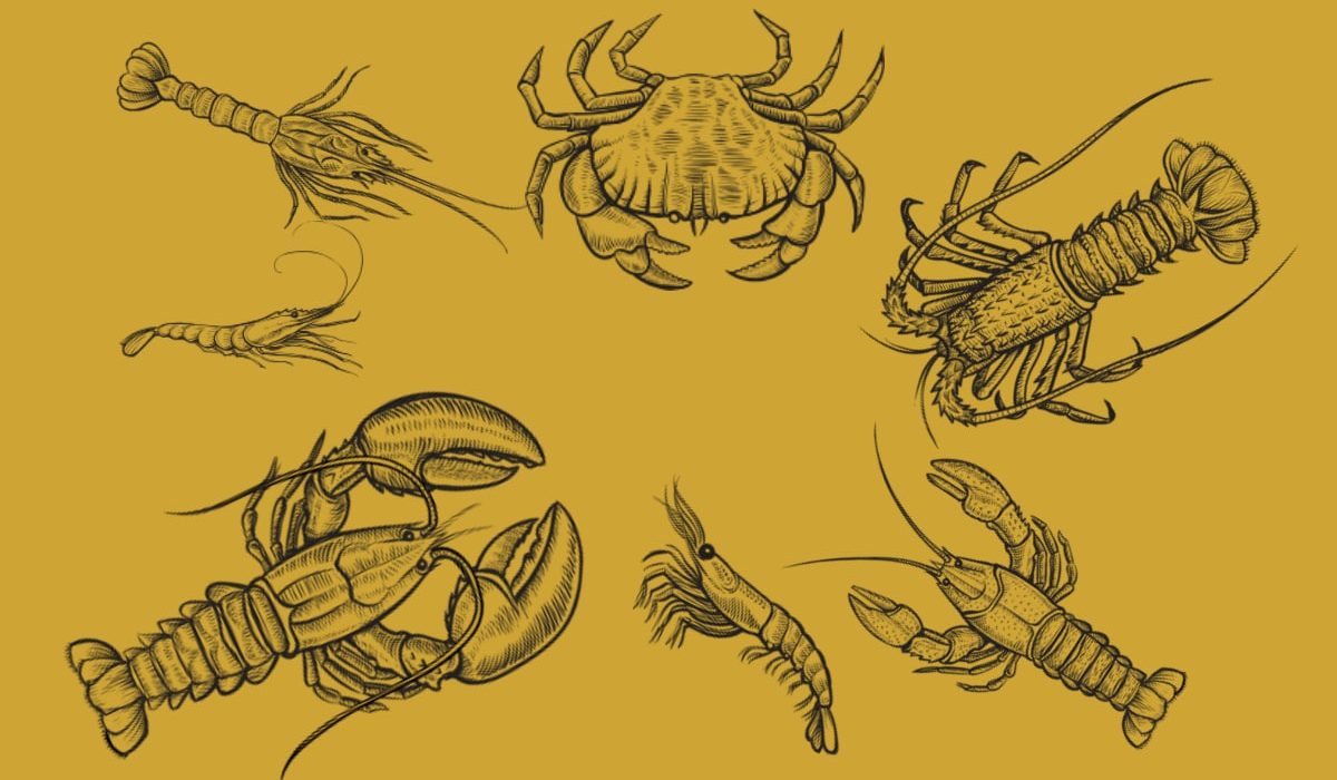 tipos de crustáceos