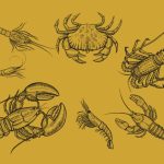 tipos de crustáceos