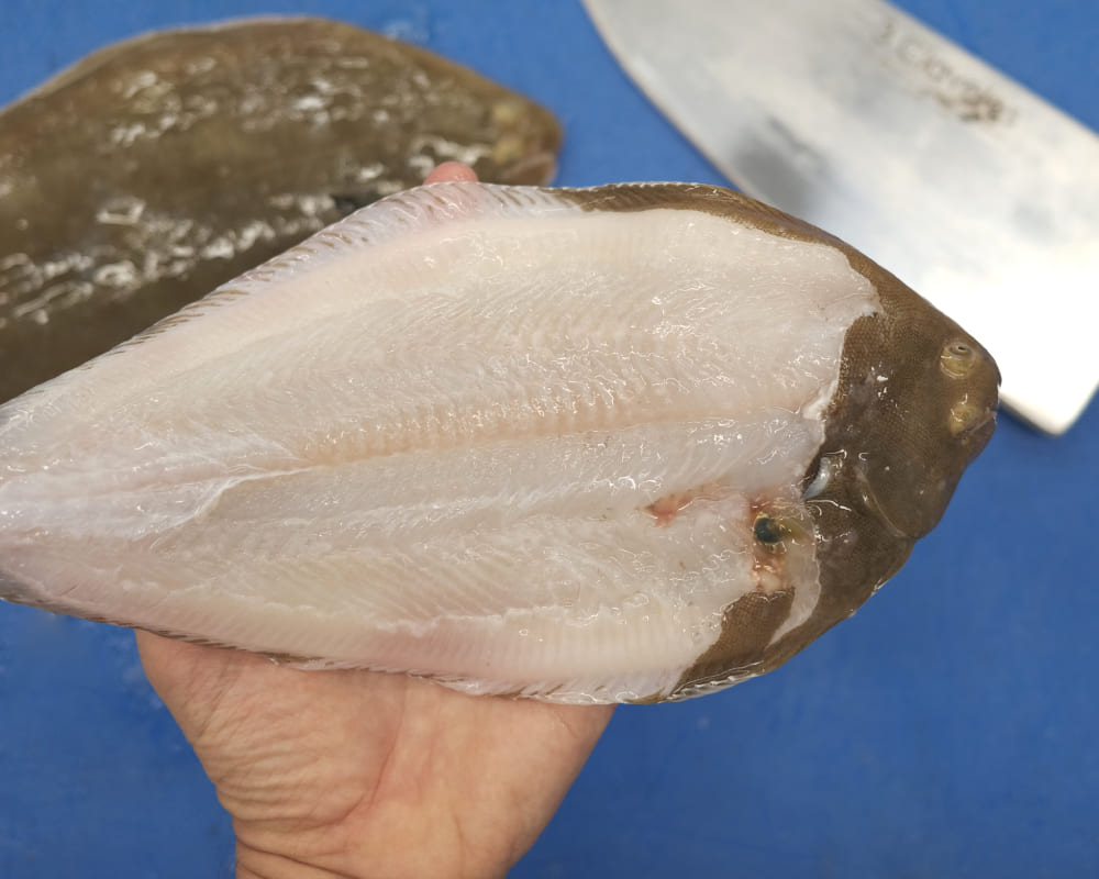 lenguado para ceviche