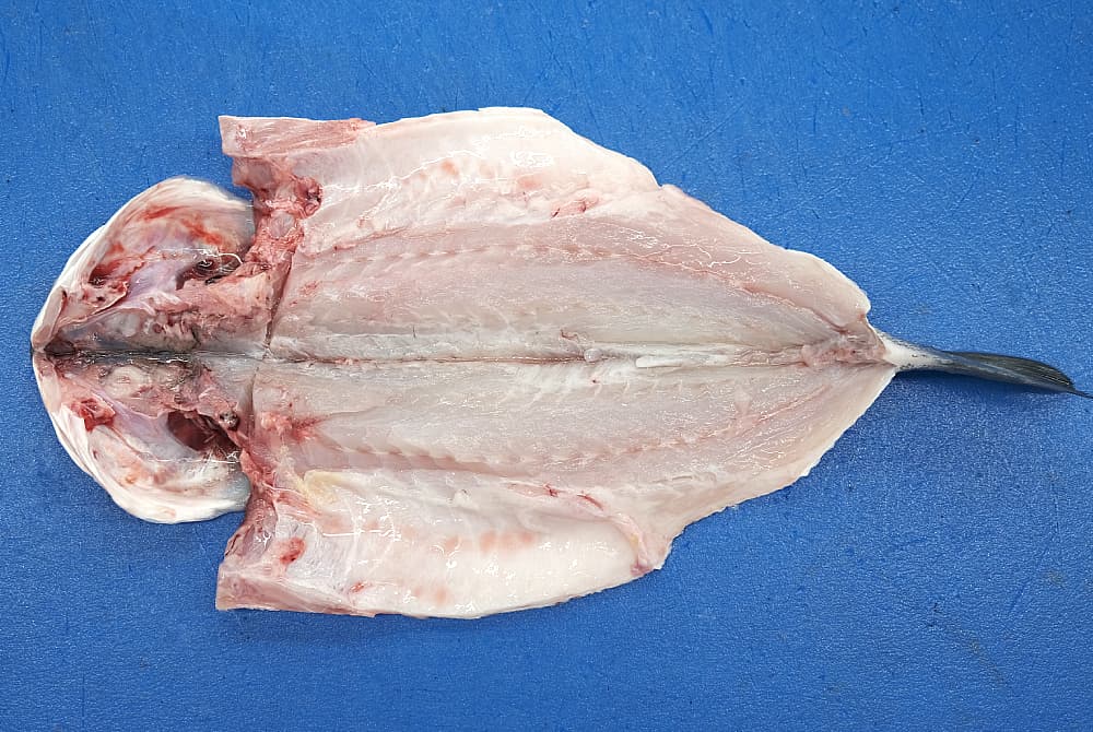 lubina mejor pescado horno