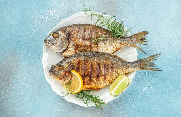 pescado durante embarazo