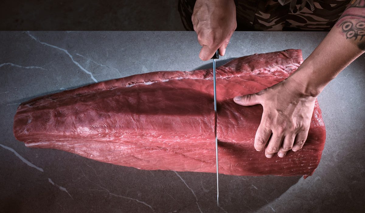 pescados parecidos atún